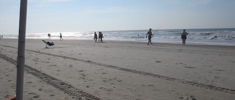 On the beach, sun loungers, beach towels