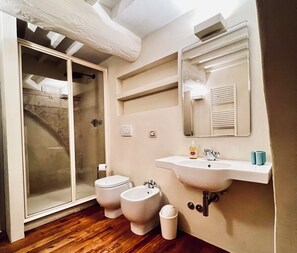 Shower, hair dryer, bidet, towels