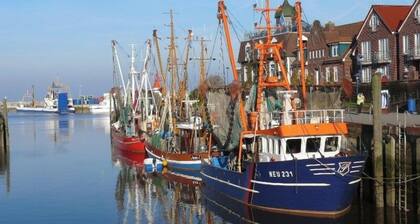 Vacation apartment Ant Blink