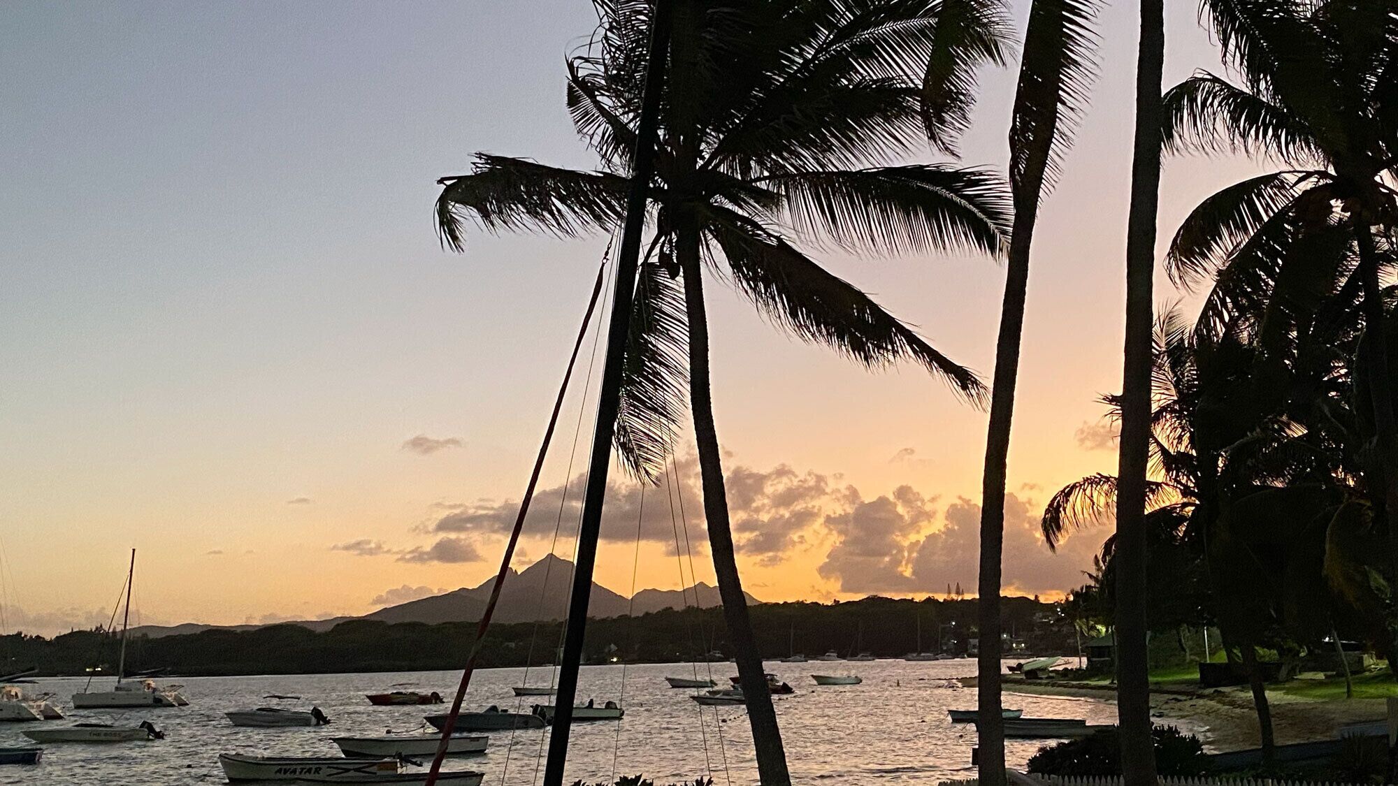 A coastal scene with boats on the water, palm trees, and a mountain in the background.