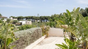 Un sendero de jardín que conduce a un edificio con fachada blanca, rodeado de diversas plantas y árboles.