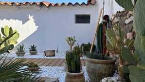 Un giardino con diversi cactus e piante succulente, un vialetto in pietra e un muro bianco con una finestra.