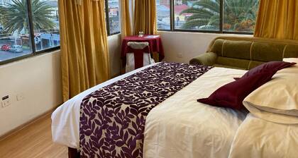 Hotel El Cisne Internacional