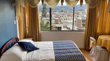 Habitación individual Confort, vistas a la ciudad | Wifi gratis y accesible en silla de ruedas