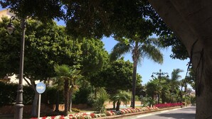 Property grounds - Cozy one bedroom apartment with pool and garden views (Estepona)