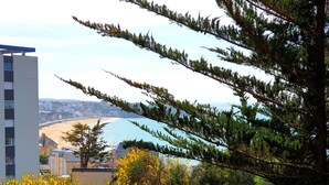 Vista de una zona costera con valla de madera, abundante vegetación y un edificio al fondo.