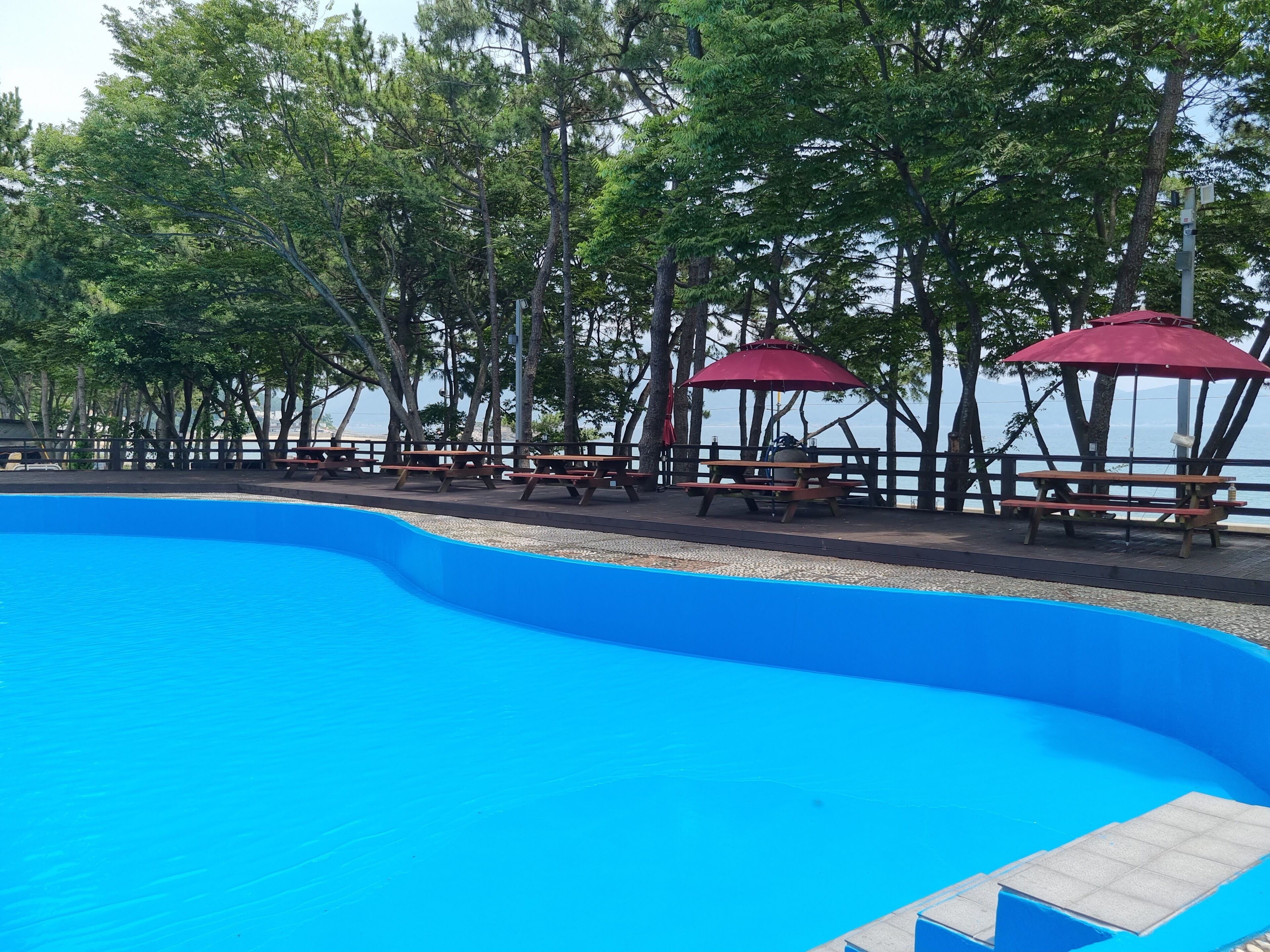 A swimming pool with wooden benches and red umbrellas, surrounded by trees.