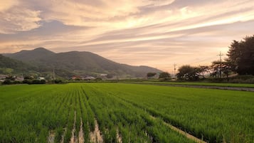 Vista al paisaje