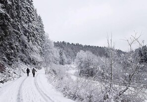Sports d’hiver