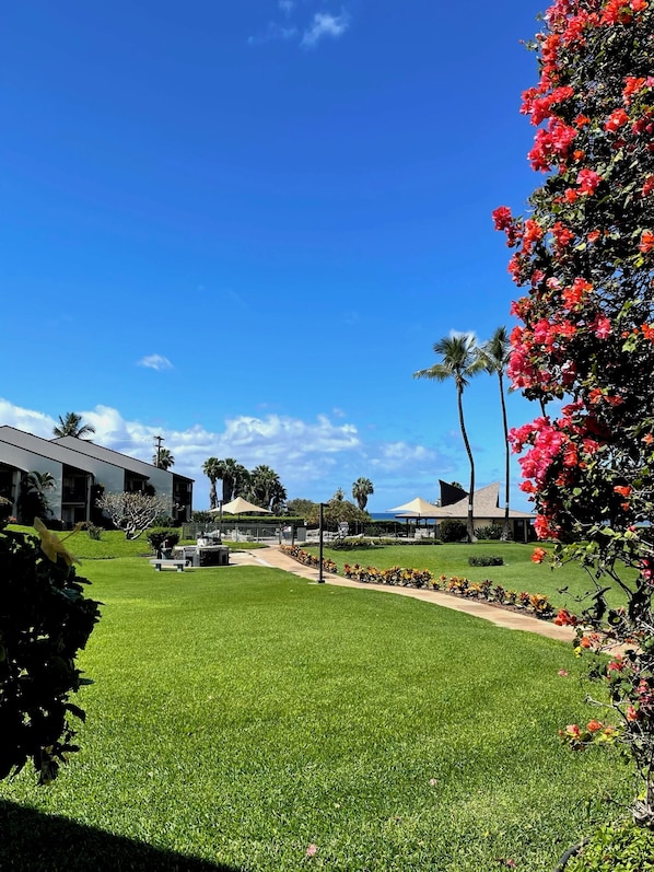 View of the lush lawns at Hale Kamole from our lanai