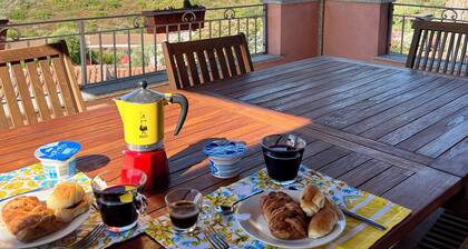 Villa Olbia surrounded by greenery.Perfect mix of peace and the sea Sardegna