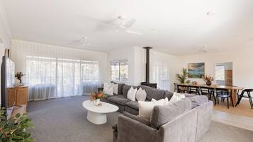 Télévision, cheminée, livres, chaßne hi-fi