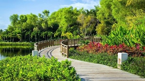 Une promenade en bois qui mène à un pont surplombant une étendue d’eau, le tout étant entouré d’une végétation luxuriante et de plantes tropicales.