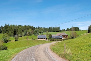 A rural road leading to a house with solar panels, surrounded by green fields and trees.