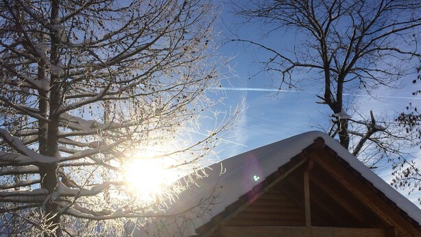 A wooden cabin with a sloped roof, surrounded by snow-covered trees, and a clear sky. - Apartment 'Sonnenwinkel' with Mountain View, Shared Garden and Wi-Fi (Furtwangen)