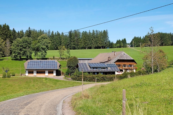 A rural road leading to a house with solar panels and a wooden structure.