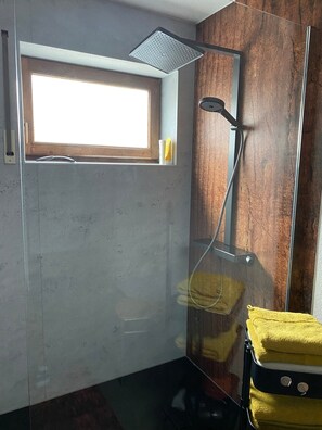 Shower, hair dryer, towels