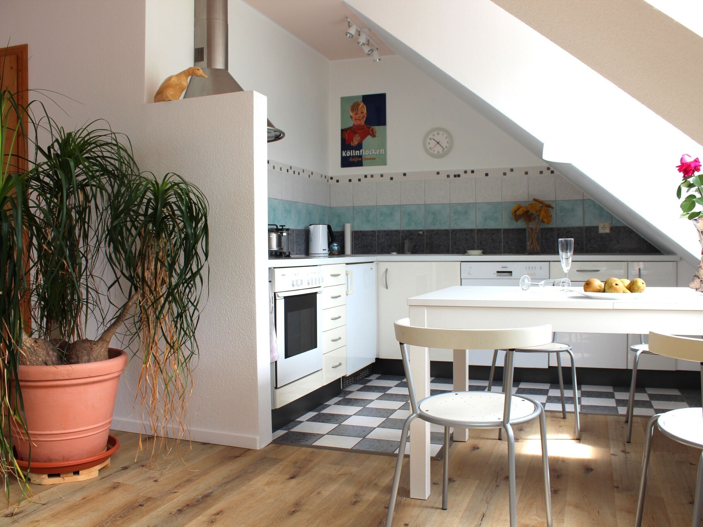 雪櫃、焗爐、爐具、洗碗機