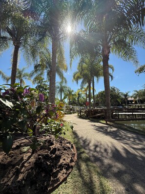 Garden - Sitio Ilha do Lazer (Araruama)