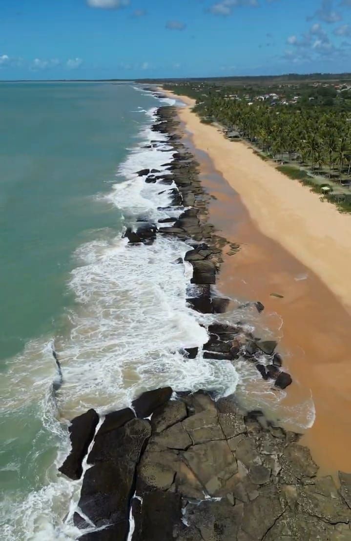 Un paysage côtier caractérisé par une côte rocheuse, une plage de sable et une rangée d’arbres.