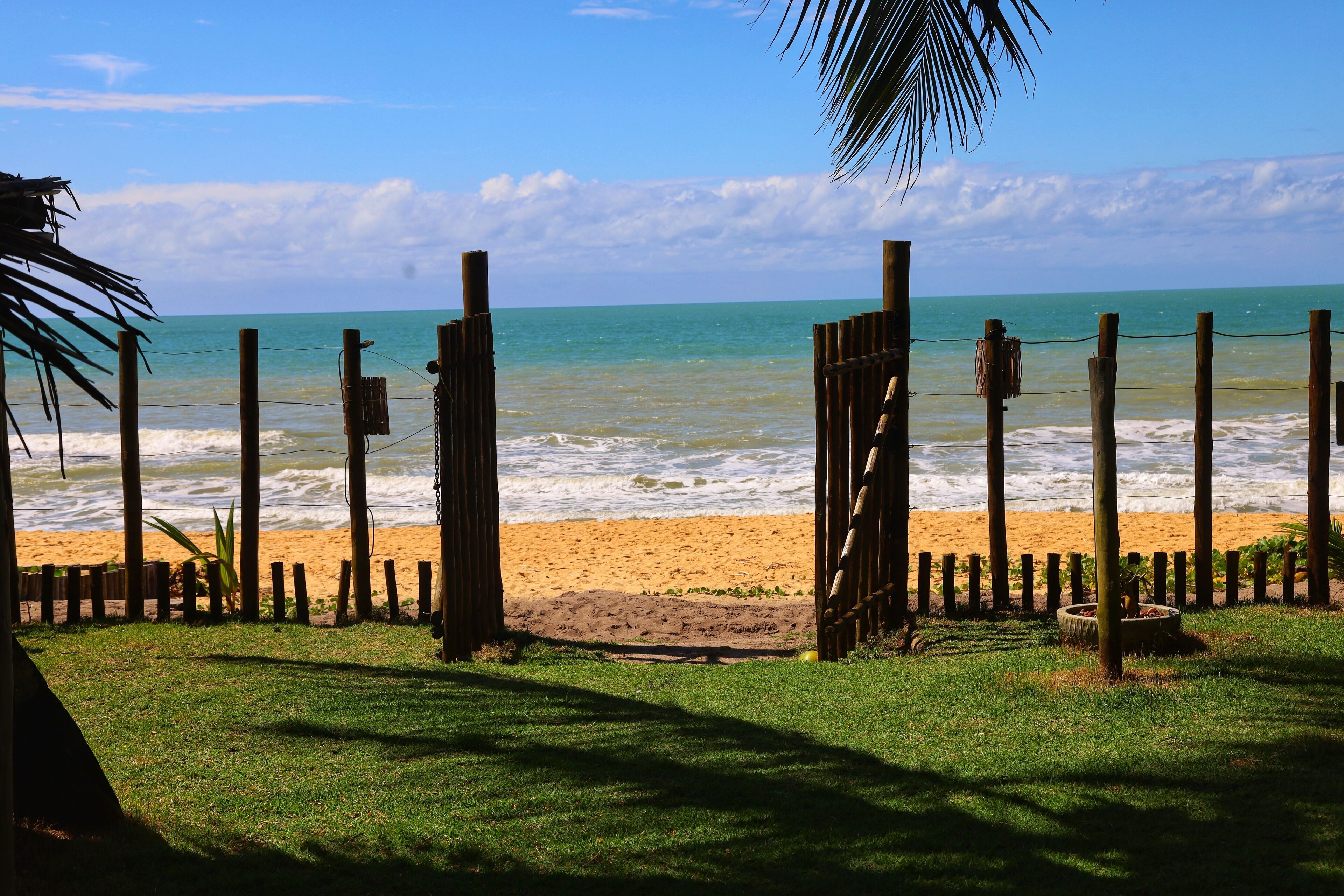 Habitació prèmium, vistes a la platja | Vista des de l'habitació