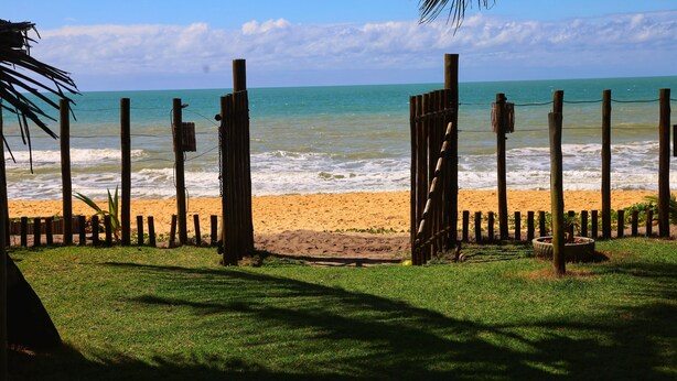 Vista a la playa con cerca de madera, una palmera y un pequeño jardín.