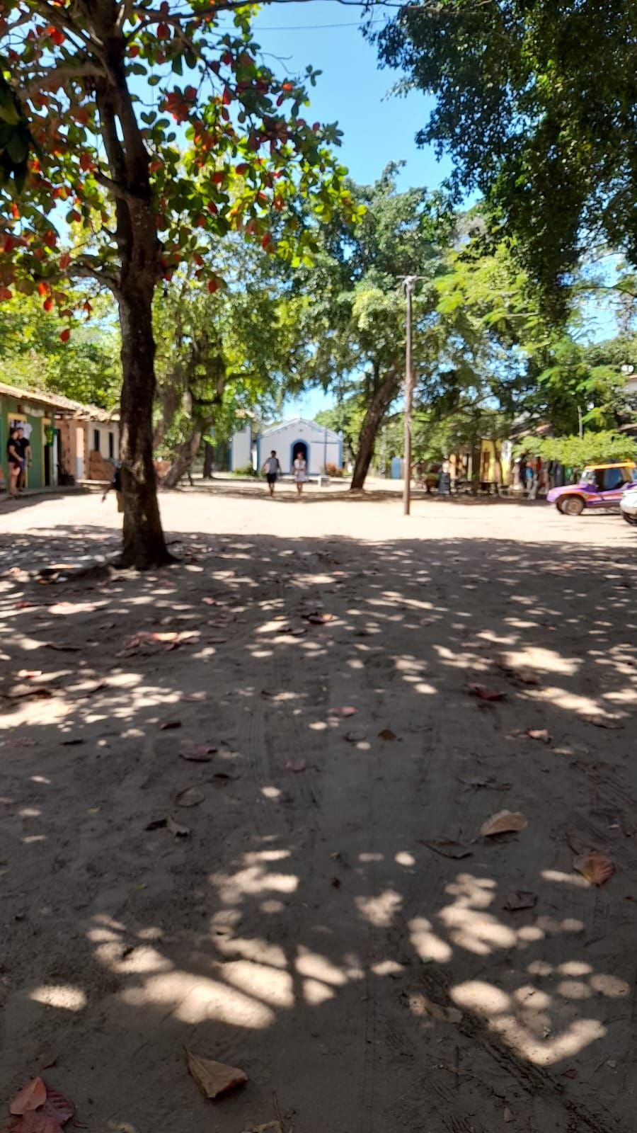 A tree-lined street with a building in the background.