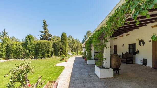 Eine überdachte Terrasse im Freien mit Steinboden, Kübelpflanzen und einer großen Vase.