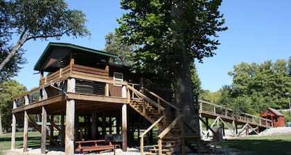 Endangered wild life observation cabin.