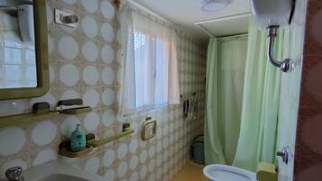 Une petite salle de bain comprenant un lavabo, des toilettes et une douche.