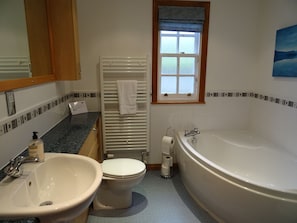 Shower, hair dryer