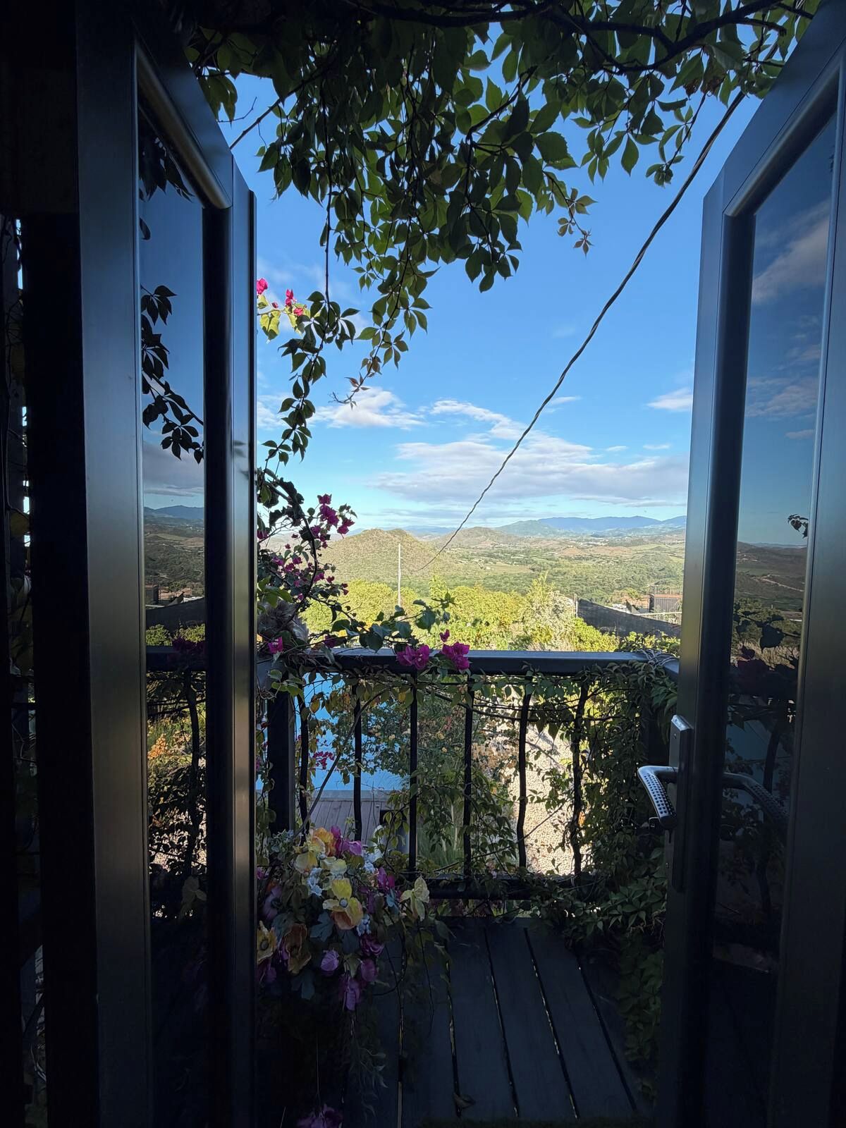 A balcony with a view of a valley and mountains, featuring a railing and some plants.