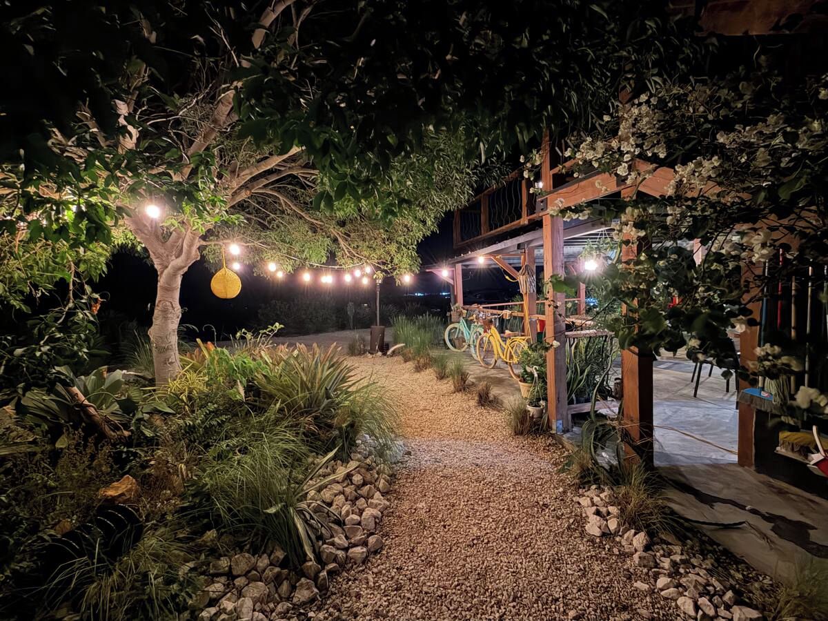 A pathway leading to a wooden structure with string lights overhead.