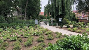 Un jardín con un camino, diversas plantas y un puente.