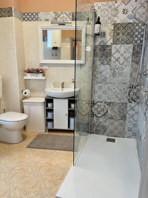 Regadera, secadora de cabello, bidet, toallas 