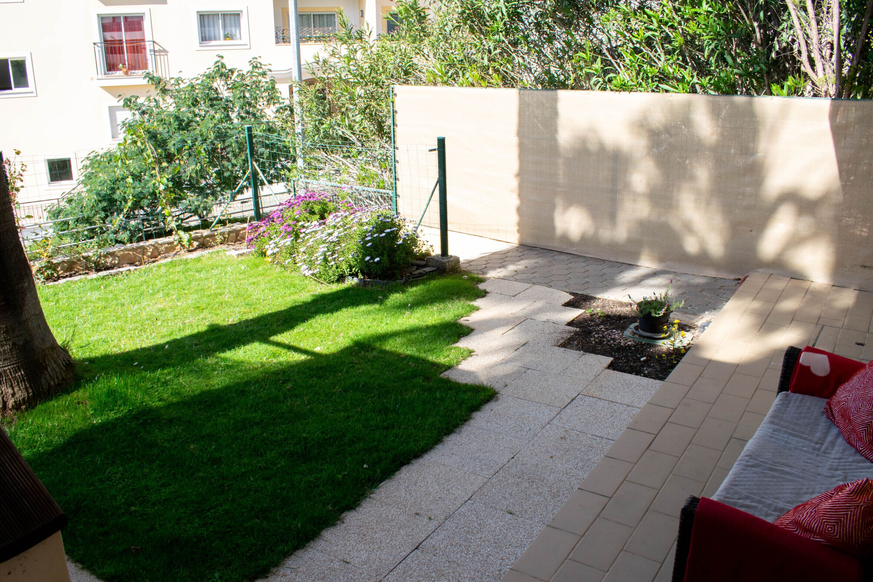A courtyard with a neatly trimmed lawn, a potted plant, and a tiled patio area.