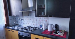 Fridge, oven, stovetop, electric kettle