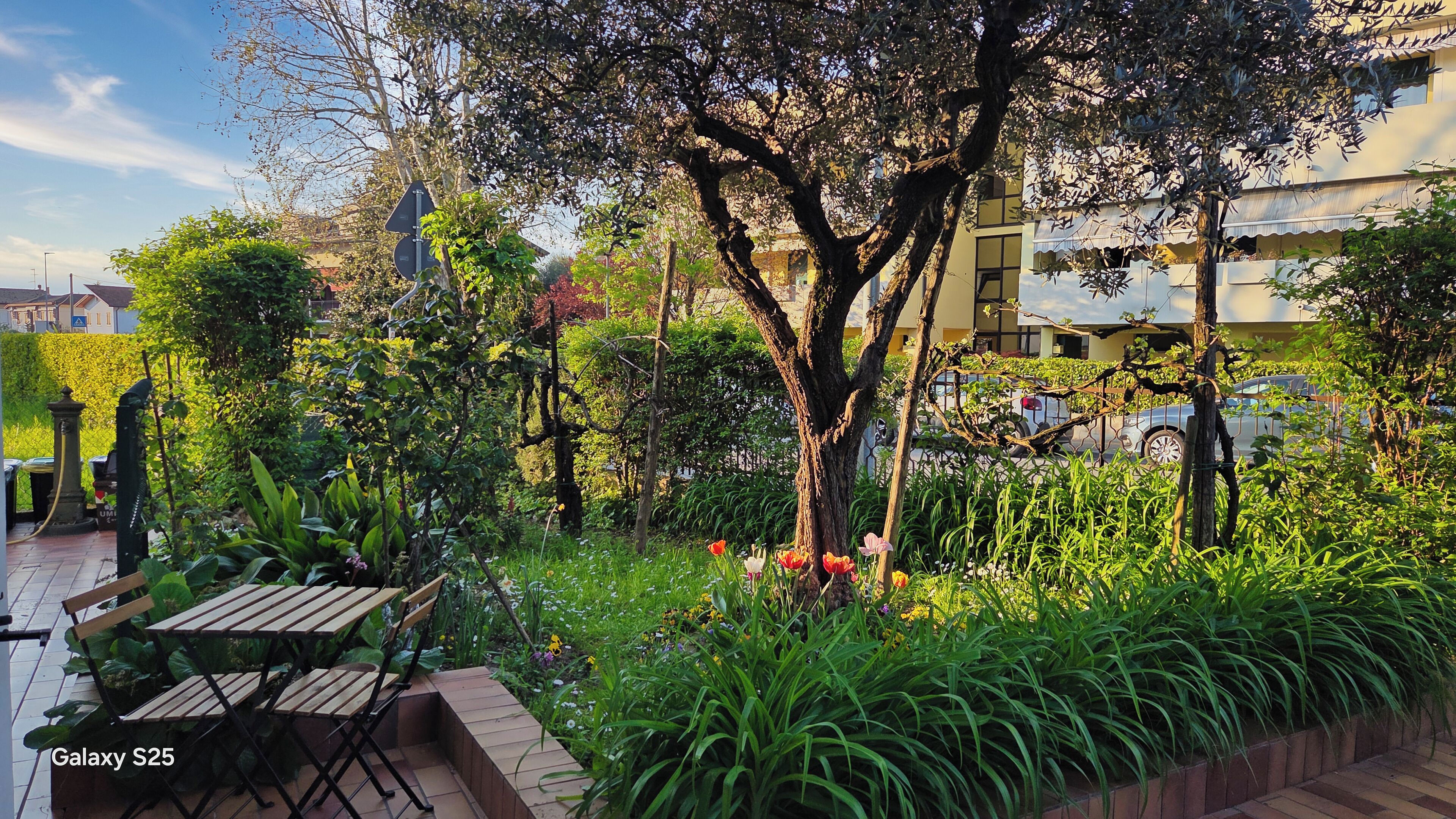 屋外ダイニングエリア