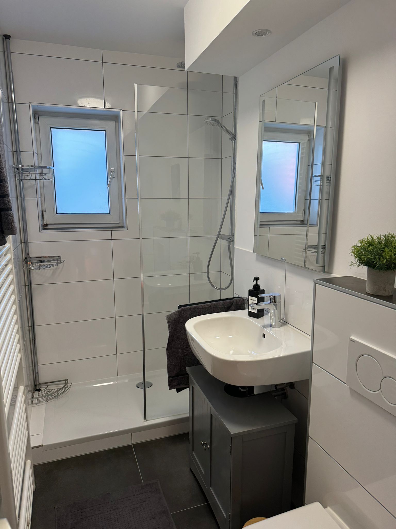 Shower, hair dryer, toilet paper