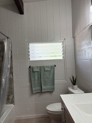Hair dryer, towels, soap, toilet paper