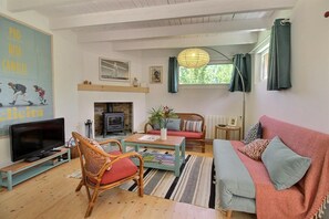 TV, books - La Petite Maison - TREDARZEC (TREDARZEC)