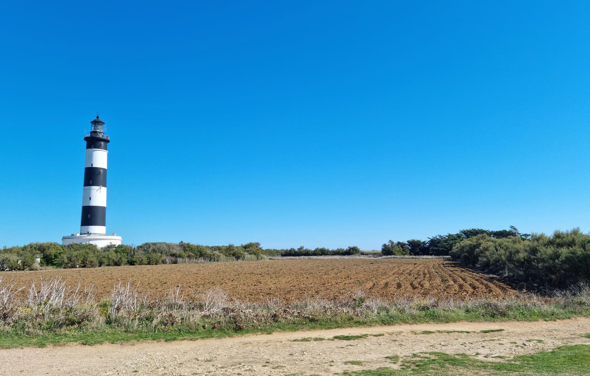 A lighthouse with a white and black striped tower, surrounded by a field and sparse vegetation.