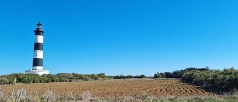 A lighthouse with a white and black striped tower, surrounded by a field and sparse vegetation.