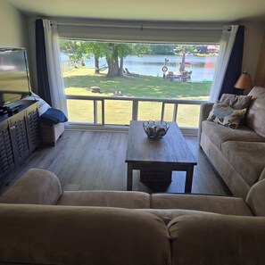 Smart TV, DVD player, books