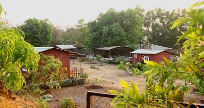 Spacious 5-bedroom cottages