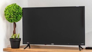 Un téléviseur à écran plat posé sur un meuble télé en bois, avec une petite plante en pot à côté.