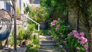 Eine Holzterrasse führt zu einem Haus mit Garten.