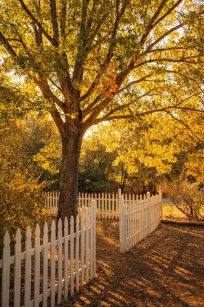 Property grounds - Texas Style Getaway, Spacious 5-bedroom home with Gym, BBQ and Firepit (San Antonio)