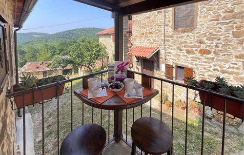 1 bedroom stunning home in Subbiano