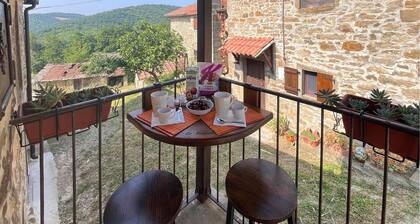 1 bedroom stunning home in Subbiano